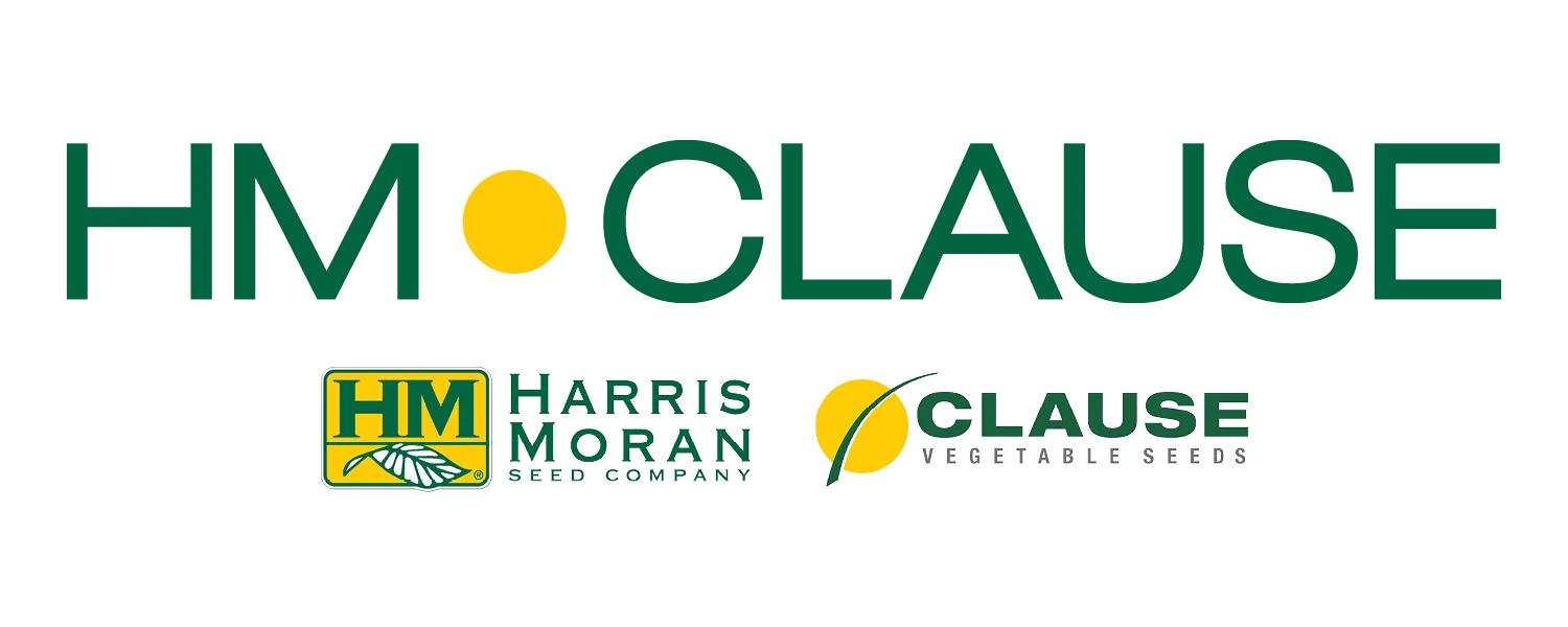 Logo HM Clause